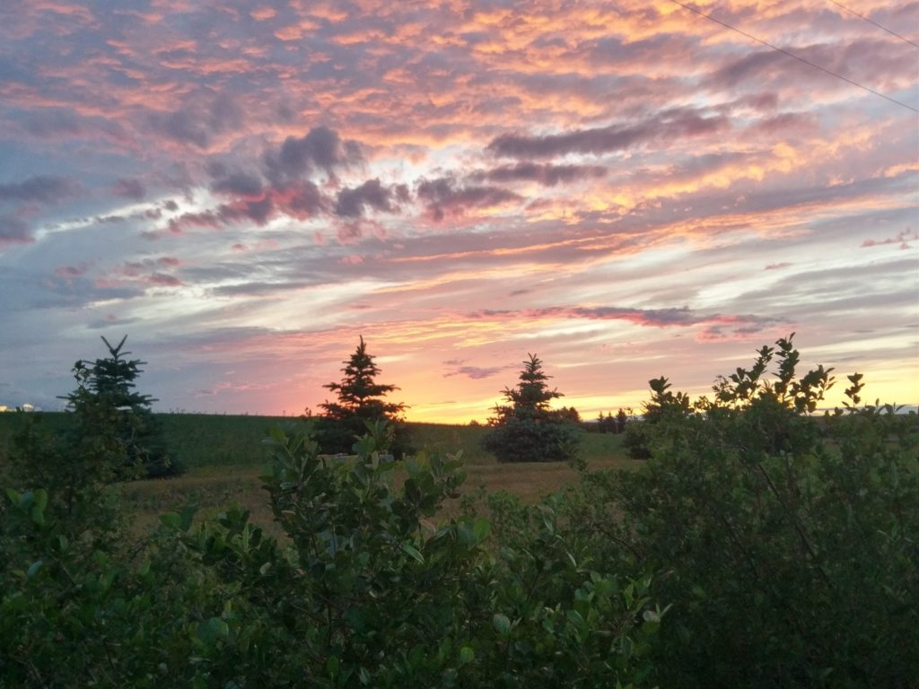 About Us PRAIRIE WINDS NURSERY