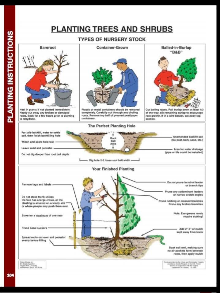 helpful hints1