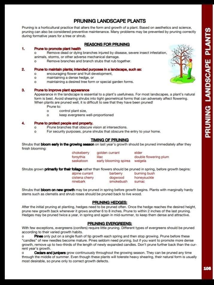 helpful hints2